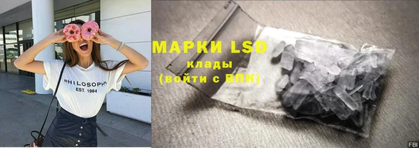 ГАЛЛЮЦИНОГЕННЫЕ ГРИБЫ Медногорск