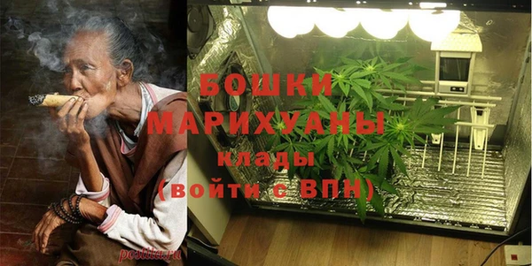 PSILOCYBIN Мегион