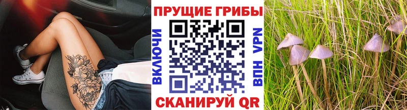 нарко площадка официальный сайт Печоры Галлюциногенные грибы Psilocybine cubensis